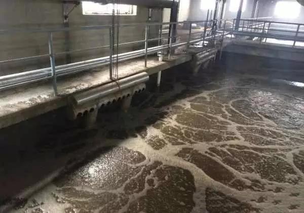 食品廠豆制品廢水處理